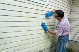 Affordable Siding Repair and Maintenance Services in Ringgold, GA